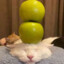 zzzZZZZzzZzzzzZZZZZZ