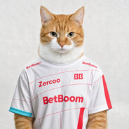 zercoo