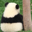一棵smalltree