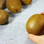 Мохнатый киви