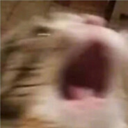 蛋黄花花烧仙草