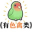 JM车号发一下