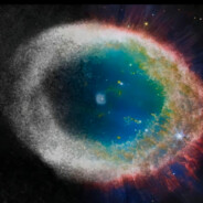 死在秋天的牧羊人