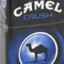 Camel Crush