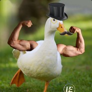 Mr.DuckBoi
