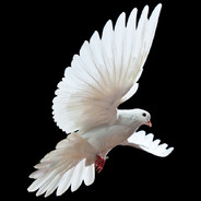 一比十四我开转