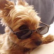 Nu`Vi.Штрундель