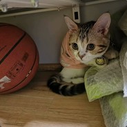 没有头像的感觉真差