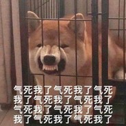 反冲斗士周淑怡
