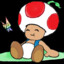 ToadRocks