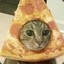 Pizzacat