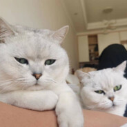 你行你带我赢呀