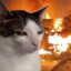 MerselisKing's avatar