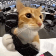 Hello?