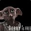 [TGC] Dobby