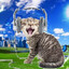 6u1d0z3r's avatar