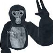 gorilla acc 3