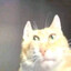 Nater