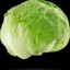 A Rather Silly Lettuce