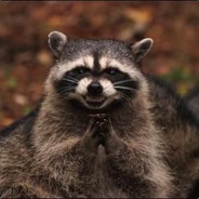 I am a racoon!'s Avatar