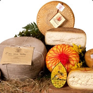 unasediachecascasulondra