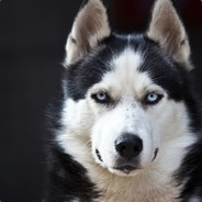 国家负一级抬杠运动员