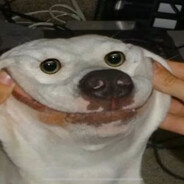 DoggyStylePeek Steam avatar