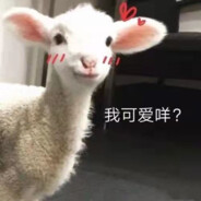 再打我就开转了