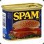 Spamcam