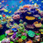 The Reefy