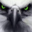 Hawk Eye