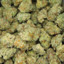 Purple Cookies