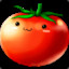 Tomatoo