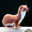 Weasel