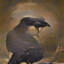 orsozthecrow