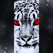 Clouded Leopard - steam id 76561197961868112