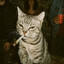 missenta