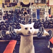 江南好 最好是红衣