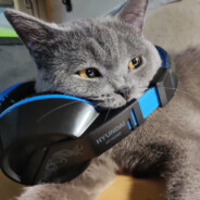 牛奶连夜噶了你蛋