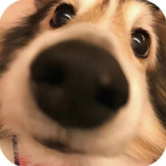 猛拔秃子那根头发