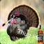 the thuglife turkey