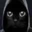 анонимный кот
