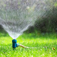 Lawn Sprinkler