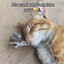sleepy22