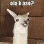 Benjamin xD