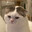 Jude-