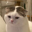 Jude-