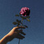 flowerboy