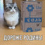 Трава