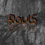 RaulS